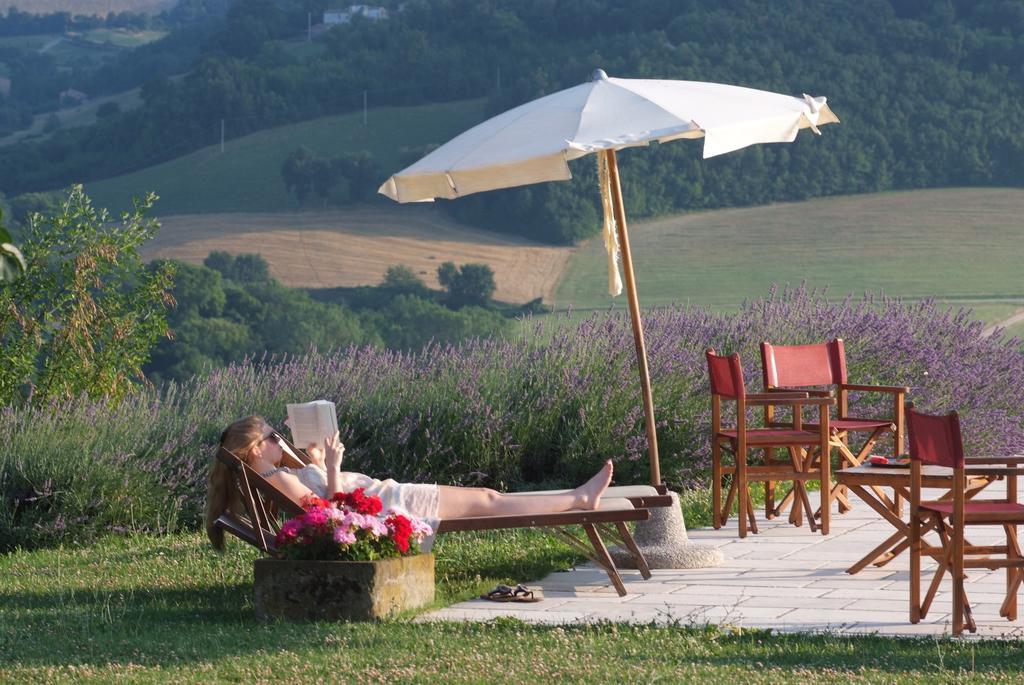 Agriturismo La Rosa Tea Villa Urbania Exterior photo